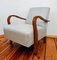 Vintage Czech Armchair, 1960s 2