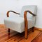 Vintage Czech Armchair, 1960s 3