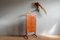 Mid-Century Bedroom Valet by Ico Parisi for Fratelli Reguitti 2