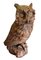 Vintage Hand-Carved Wood Owl, 1920s 3
