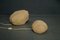 Vintage Fiberglass Moon Rock Lamps from Singletron, Set of 2 5