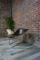 Pussycat Chairs by Kwok Hoi Chan for Steiner, 1968, Set of 2, Image 4
