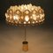 Mid-Century Gilded Brass & Crystal Chandelier from Palwa 3