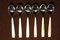 Model 2050 Mocha Spoons by Helmut Alder for Amboss, 1954, Set of 6, Image 2