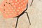 Vintage Shell Chair by Pierre Guariche for Meurop, 1960s, Image 8