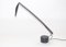 Dove Desk Lamp by Mario Barbaglia and Marco Colombo for PAF Studio, 1980s 4