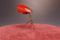 Tischlampe mit Rotem Schirm, 1950er 4