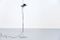 DIM 333 Floor Lamp by Vico Magistretti for Oluce, 1970s, Image 6
