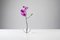 Gauge Klarglas Vase für Einzelne Blume von Jim Rokos für Giant Mountains of Bohemia Glassworks, 2015 3