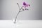 Gauge Klarglas Vase für Einzelne Blume von Jim Rokos für Giant Mountains of Bohemia Glassworks, 2015 3