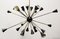 Vintage 24-Armed Sputnik Chandelier from Stilnovo 7