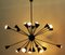 Vintage 24-Armed Sputnik Chandelier from Stilnovo 5