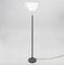 A805 Angel Wing Floor Lamp by Alvar Aalto for Valaisinpaja Oy, Image 5