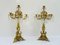 19th Century Gilt Bronze & Crystal Candelabras, Set of 2 1