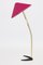 Floor Lamp with Raspberry Colored Shade from Kalmar, 1950s 3