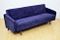 Navy Blue Sofa Bed, 1960s 2
