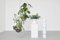 Bold Medeia White Vase by Llot Llov, Image 4