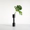 Slim Medeia Black Vase by Llot Llov, Image 3