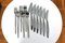 Finnish Model Polar Fish Cutlery Set by Ilmari Tapiovaara for Hackman, 1963, Set of 12, Image 1