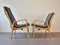 Mid-Century Lounge Chairs by Cees Braakman for Pastoe, Set of 2, Image 4