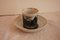 Antique Schlaggenwald Cup with Saucer from Lippert & Haas 1