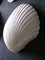 Mid-Century Shell Wall Sconces by André Cazenave, 1968, Set of 4, Image 6