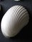 Mid-Century Shell Wall Sconces by André Cazenave, 1968, Set of 4, Image 5