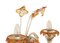 Murano Glass Chandelier and Sconces, 1950s, Set of 3 7