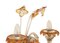 Murano Glass Chandelier and Sconces, 1950s, Set of 3, Image 7