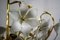 Brass Murano Glass Flower Chandelier, 1970s 10
