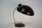 Verstellbare Lampe, 1950er 7