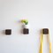 Pega Dark Cork Hooks by Mendes Macedo for Galula, Set of 3 2