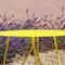 Seis Center Table in Yellow by Mendes Macedo for Galula, Image 7