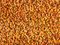 Vintage Saffron Yellow & Red Berber Rug, Image 4