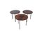 Circular Nesting Tables in Rosewood by Poul Nørreklit for Petersen 1