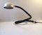 Snake Table Lamp from Eurolux, 1970s, Image 1
