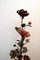 Lámpara de pie escultural en forma de rosal, años 60, Imagen 3