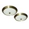 Flush Mount Lamps from Lumi, 1950s, Set of 2, Image 1