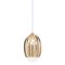 Poppy Pendant Light in Lost Wax Cast Brass by Fred&Juul 1