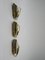 Italian Wall Lights in Brass, 1950s, Set of 3, Image 4