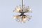 Vintage Dandelion Glass & Brass Chandelier by Emil Stejnar for Rupert Nikoll 3