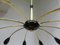 Sputnik Ceiling Lamp with 10 Lights, 1950s 4