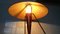 Lámpara de mesa grande de Helena Frantová, años 50, Imagen 3