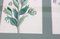 Stampe botaniche con cornice, anni '60, set di 6, Immagine 6