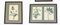 Stampe botaniche con cornice, anni '60, set di 6, Immagine 8