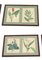 Ilustraciones botánicas con marco, años 60. Juego de 6, Imagen 4