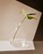 Polly Blown Glass Carafe by Aldo Cibic for Paola C., Image 2