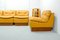 Modulares dunkelgelbes Mid-Century Leder Sofa Set von Dreipunkt, 1970er 9