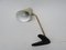 Austrian Crow Foot Table Lamp, 1950s, Image 12