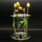 Aqua Vase - Ikebana for beginners by Kanz Architetti for KANZ 2